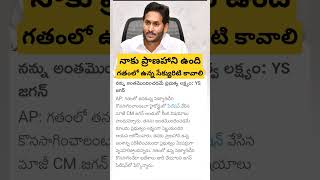 AP Ex CM YS Jagan about Security issues [upl. by Atla184]