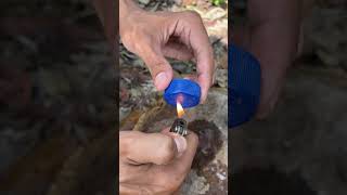 Survival skills simplifying survival when a Bottle became useful🍾 camping survival bushcraft [upl. by Halludba]