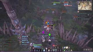 Throne and Liberty ARIDUS Server PVP clips [upl. by Yevol]