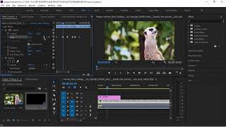 Premier Pro Keyframe Basics In Sinhala  Mrphotos  3D [upl. by Otsedom823]