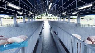 20 sow level building  Pig Farm Design babuyan piggery piggy building [upl. by Junji776]