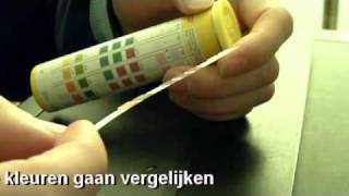 Subtropischaquariumnl  Sera 5 in 1 Quick Test pH kH gH NO3 NO2 [upl. by Erait205]