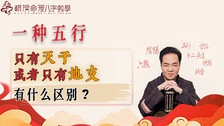 一种五行 只是天干有，或者只地支有，有什么区别？ [upl. by Buckley]