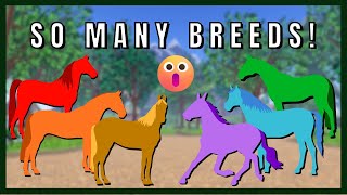 6 NEW BREEDS ARE COMING TO WILD HORSE ISLANDS [upl. by Kiyoshi288]