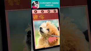 Cute Puppies Jigsaw Puzzles relaxing relax jigsawpuzzle jigsaw puppy pet pets dog cute [upl. by Eniale]