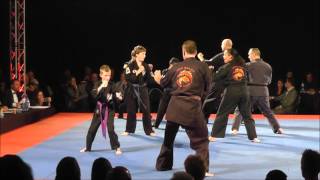 Budo Rings Demo Katsudo Kenpo op 31102015 [upl. by Odranreb]