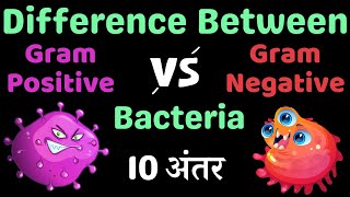 Gram Positive और Gram Negative Bacteria में क्या अंतर है Difference Between bacteria [upl. by Uta]