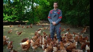 RENCONTRE avec David LEGER éleveur de poules pondeuses bio [upl. by Louanne]