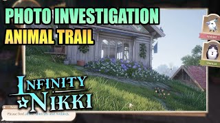 Photo Investigation Animal Trail INFINITY NIKKI [upl. by Lamont23]