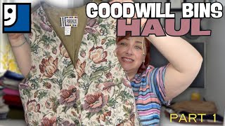 Bins Haul  Goodwill Outlet  Vintage Goodies  Spent 65 with a 1100 Resell Value  Part 1 of 2 [upl. by Tichon583]