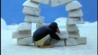 Pingu Pingu builds an Igloo [upl. by Cassaundra]