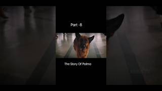 The Story Of Palma part8 shorts movieexplaininnepali dogstory palma imotionalmovie [upl. by Aihtela]