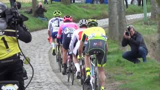 Omloop Het Nieuwsblad 2019 [upl. by Saltzman923]