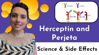 The Science and Side Effects of Herceptin and Perjeta my HER2breast cancer journey [upl. by Horlacher]