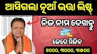 How to Check Pension Scheme List In Odia  Madhubabu Pension Scheme List  Ama Gaan Guru [upl. by Andres860]