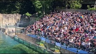 VIDÉO Le ZooParc de Beauval sadapte au pic de fréquentation de lAscension [upl. by Asli570]