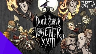 Dont Starve Together 23  Mauern HDGerman »Lets Play Dont Starve Together BETA« [upl. by Aivatnwahs944]