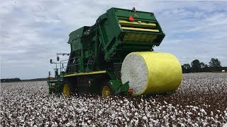 John Deere CP690 Cotton Picker in Action  Seminole County Georgia [upl. by Ojahtnamas]