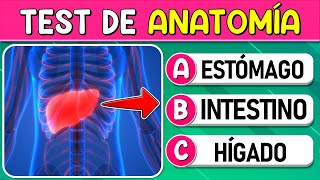 ¿Cuánto Sabes de quotANATOMÍAquot 🧠 TEST SOBRE EL CUERPO HUMANO TestTrivialQuiz [upl. by Yolande]