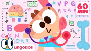 DOCTOR SONG 🧑‍⚕️🎶  More Songs for Kids  Lingokids [upl. by Orestes281]