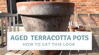 How To Age Terracotta Pots  Update and Mistakes to Avoid [upl. by Enneicul]