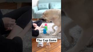 The Cup Game  Mental Stimulation Activity for Dogs [upl. by Carlynn]