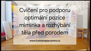 Cvičení pro podporu optimální pozice miminka a rozhýbání těla před porodem fyzioterapie amp jóga [upl. by Kliman]