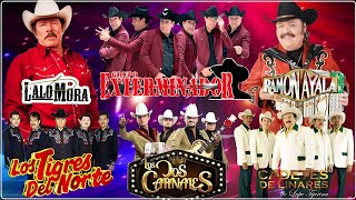 Puros Corridos Exitos Mix 2024 [upl. by Kinsley638]