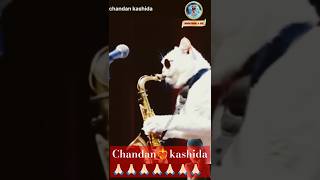 Shehnai music status song❤️‍🔥❤️‍🔥 musicproducer 😎music musicvideo whatsappstatus [upl. by Lisa899]