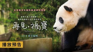 年度動人鉅獻【再見，福寶】My Dearest Fu Bao 電影預告 全球最有名貓熊「福寶」催淚道別電影！104五要幸福喔！ [upl. by Ayanal]