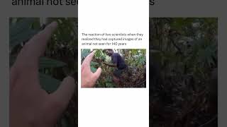 Jungle Camera Trap Catches UNBELIEVABLE Creature [upl. by Kram]