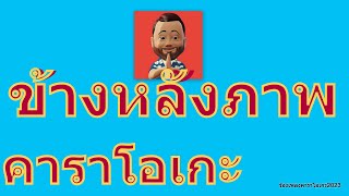 ข้างหลังภาพ  หนู มิเตอร์【KARAOKE】 [upl. by Humbert]