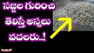 సజ్జల గురించి తెలిస్తే అస్సలు వదలరు  II Health benefits of pearl milletsajjalu in telugu [upl. by Cale]