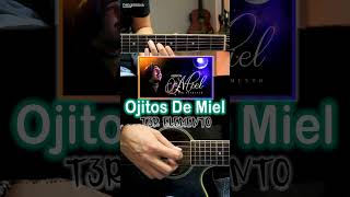 Ojitos De Miel  TR3 Elemento Guitarra Tutorial shorts [upl. by Odnalra]