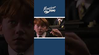 Harry Potter  Wingardium Leviosa parodie hp [upl. by Indihar]