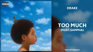 Drake  Too Much feat Sampha 432Hz [upl. by Havener]