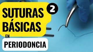 SUTURAS BÁSICAS EN PERIODONCIA  PARTE 2 Tutorial de suturas continuas [upl. by Mooney57]