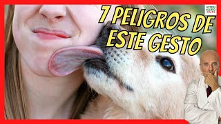 ⚠️ 7 ENFERMEDADES QUE TRANSMITEN LOS PERROS POR LA SALIVA ⚠️ [upl. by Atnovart]