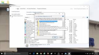 How to Turn Windows Features On or Off in Windows 10 [upl. by Alaikim]