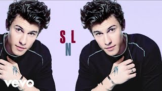 Shawn Mendes  If I Cant Have You Live On Saturday Night Live [upl. by Manny]