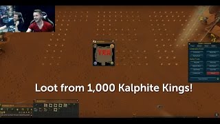 RuneScape  Loot from 1000 Kalphite Kings [upl. by Htaras]