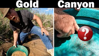 Why This Location is the Best Place to Find Placer Gold [upl. by Waltner]