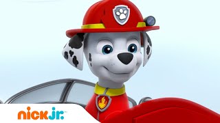 Paw Patrol  ¡Cachorros al rescate  Parte 2 Nick Jr [upl. by Yelsha]