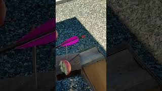 Archery Trick Shot Apple vs Broadhead VPA two blade single bevel 200 grains [upl. by Russ]