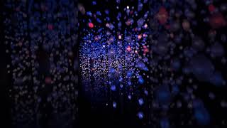 Pixel forest turicum Pipilotti Rist 1962 Zurich Art Museum [upl. by Eibmab]