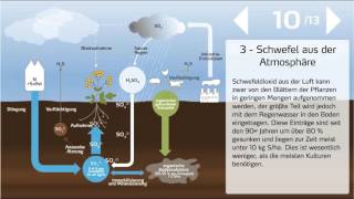 Der Schwefelkreislauf in der Landwirtschaft [upl. by Nerral850]