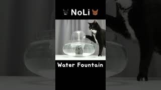 DIY Cat Water Fountain  NoLi [upl. by Eimrots]