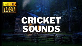 10 Hours of Cricket Sounds for Relaxation and Sleep [upl. by Angell]