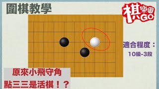 【圍棋教學】原來還有活棋的方法？小飛守角點三三｜適合程度：10Ｋ3段（ＣＣ字幕） [upl. by Lemaj]