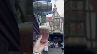 Wizarding world of Harry Potter universal studios Orlando resort [upl. by Inahteb]